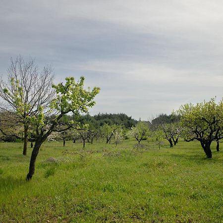 Casina Al Castello - Natura E Relax Castel Del Monte  Εξωτερικό φωτογραφία
