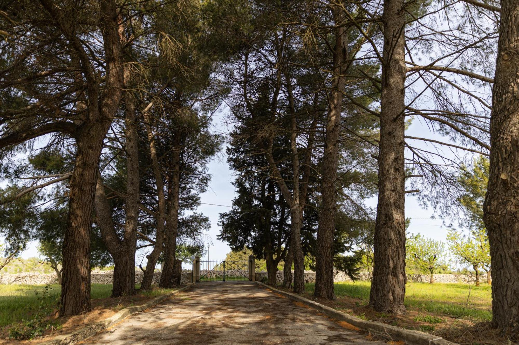 Casina Al Castello - Natura E Relax Castel Del Monte  Εξωτερικό φωτογραφία